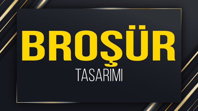 Örnek Broşür Tasarımları