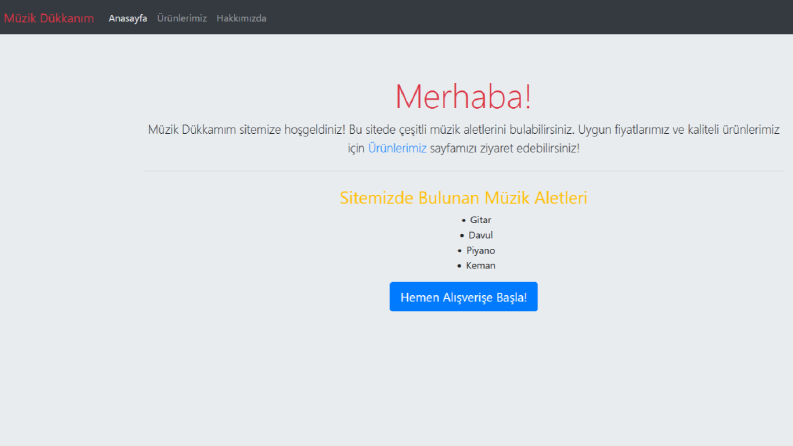 Basit E-Ticaret Sayfa Tasarımı