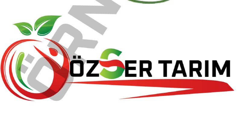 Size özel logo tasarımlarım