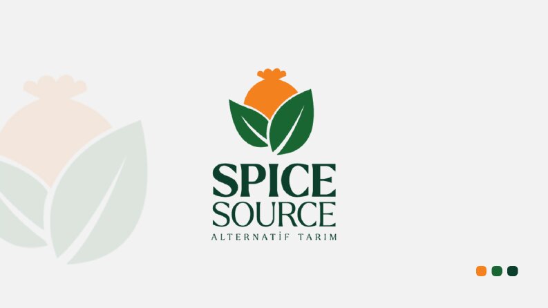 Spice Source Kurumsal Kimlik Tasarımı