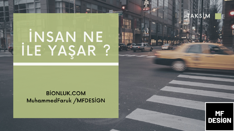 İNSAN NE İLE YAŞAR ?