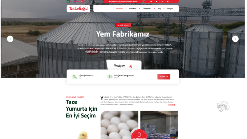 Tekkelioğlu Yumurta & Gıda - Modern Kurumsal Web Tasarımı