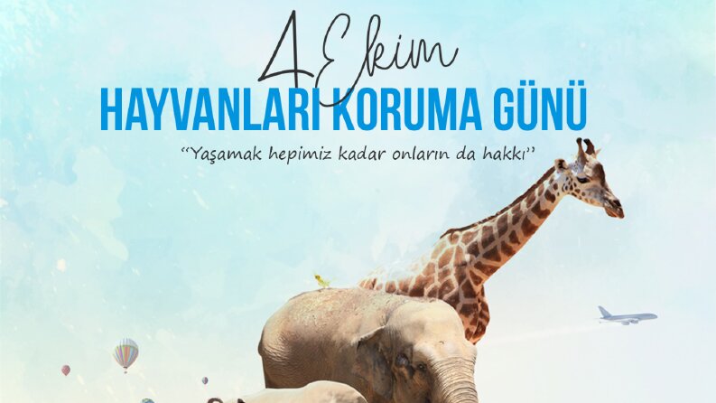 Hayvanlar