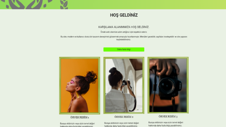 WEB TASARIMI
