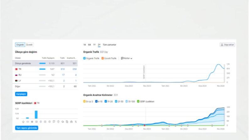 Seo Çalışması İstatistikleri