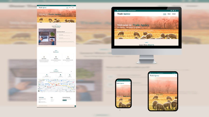 Web Tasarım