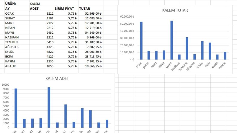 Excel Veri Girişi, Tablo Düzenleme ve Raporlama Örnek
