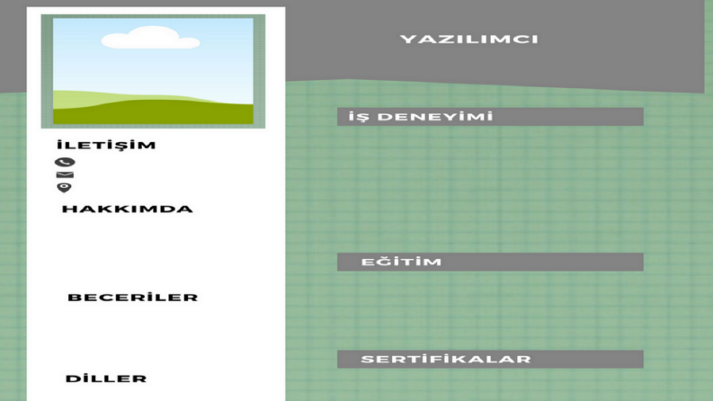 Profesyonel CV hazırlarım