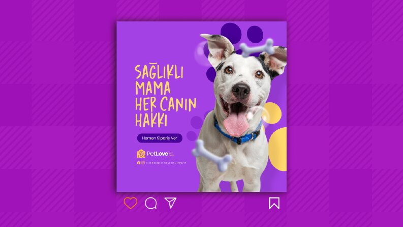 Pet Shop - Sosyal Medya Tasarımı