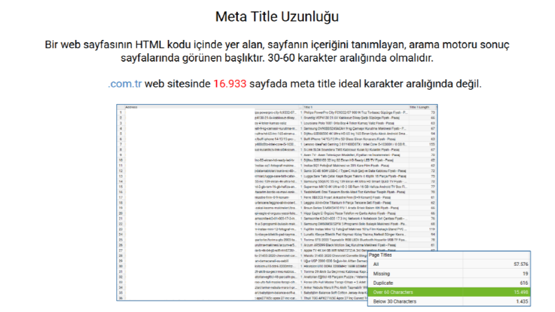 100 binden fazla sayfası olan bir web sitesini analiz ettim