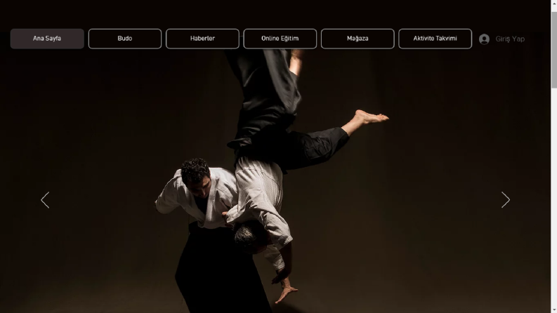Aikido Online