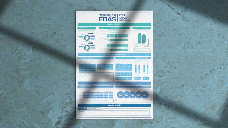 Enerjisa - Infografik