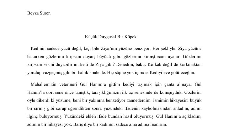 Küçük Duygusal Bir Köpek-Yayımlanmış Öykü