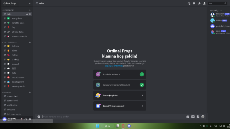 Nft & Cripto Discord Sunucu Kurulumu