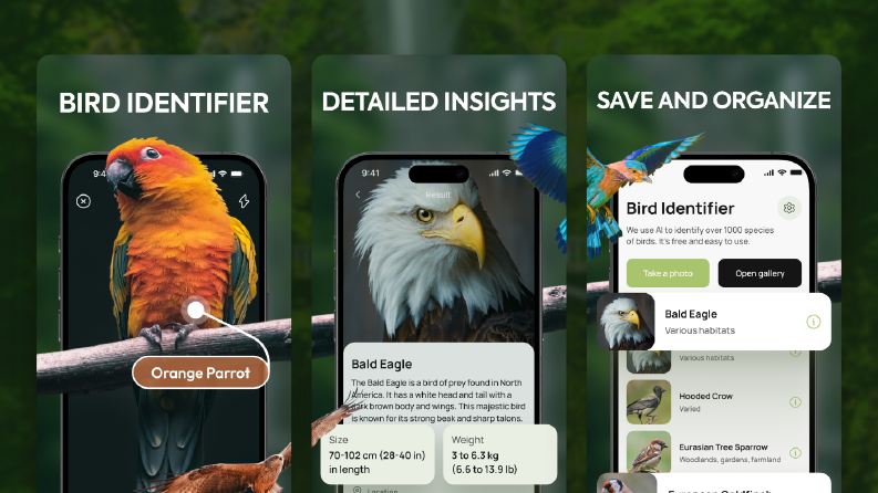 Bird Identifier - App Store Görselleri