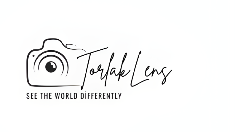 Logo Tasarımı