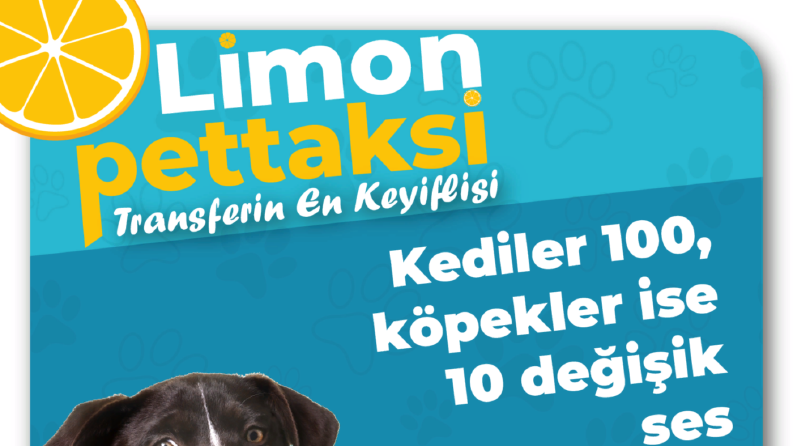 Limon Pet Sosyal Medya Tasarımları