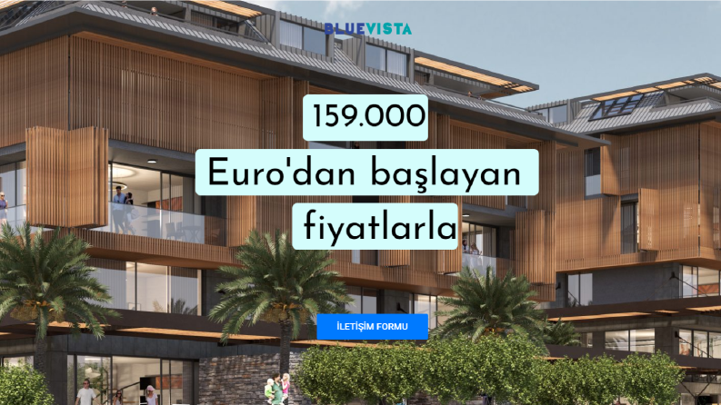 Blue Vista Wordpress