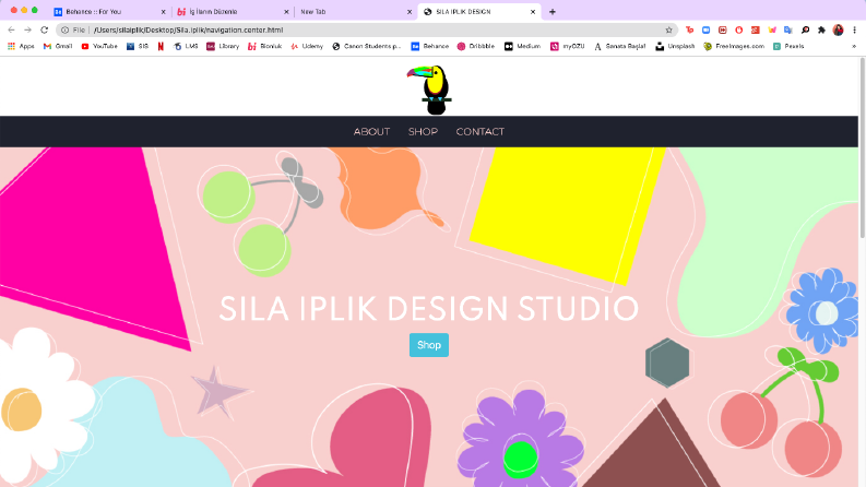 Web Tasarim