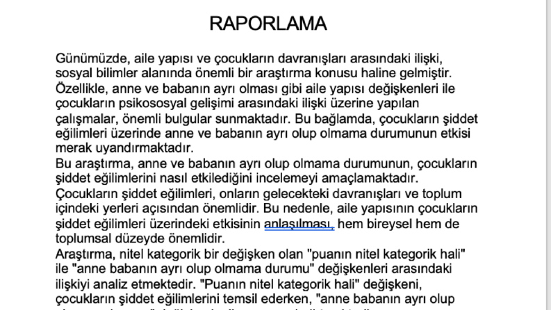 Temel Düzey Veri Analiz Örnek 