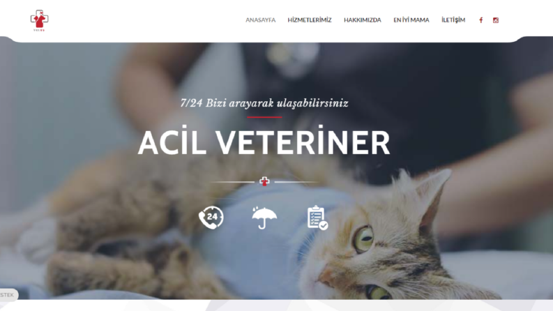 Wordpress Altyapılı Websitesi