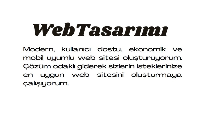 Profesyonel Web Sitesi