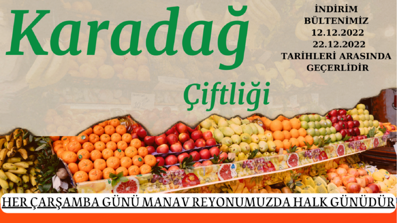 Insert&broşür tasarımı