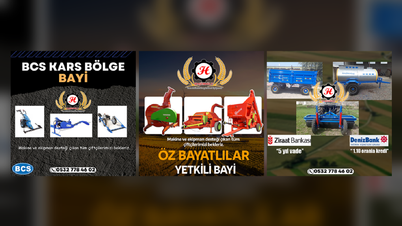 Sosyal Medya Tasarımı