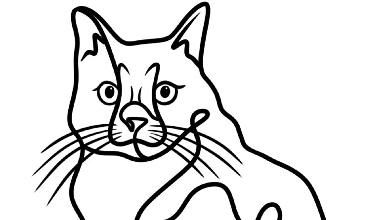 line art