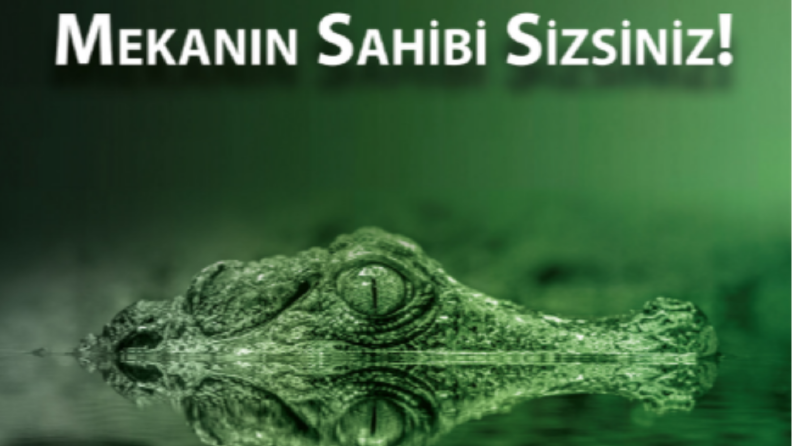 Lacoste - Afiş & Broşür Tasarımlar