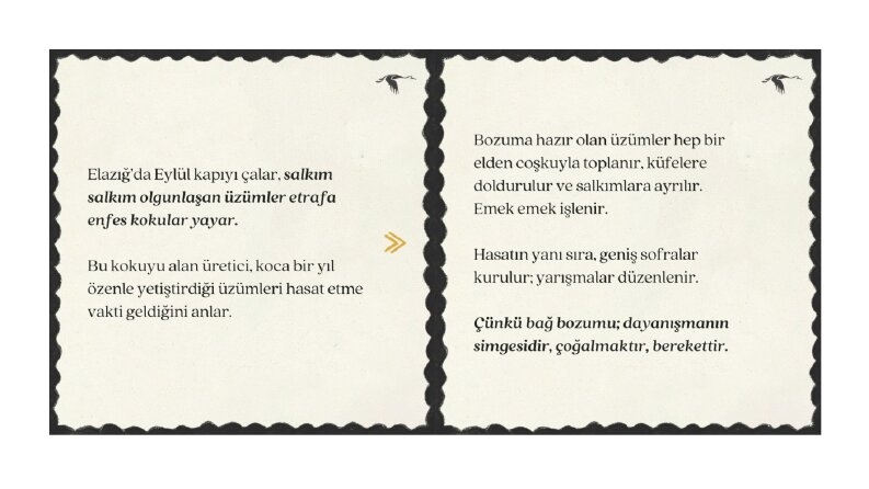 Dijital İçerik Üreticiliği