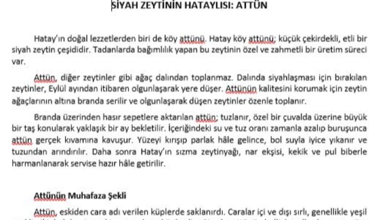 Hatay Zeytini (Ürün Tanıtımı)