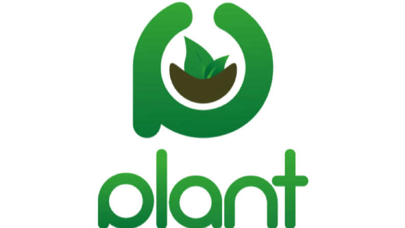 Plant - Hikayeli Logo Tasarımı