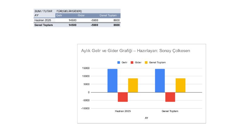 Otomatik Excel Gelir-Gider Tablosu + Grafik Rapor