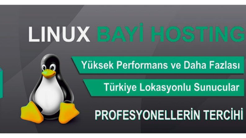 hosting domain web site hizmeti