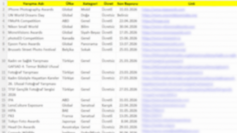 Uluslararası Fotoğraf Yarışmaları Araştırma ve Excel Listele