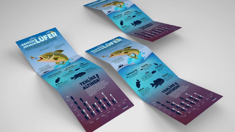 infografik