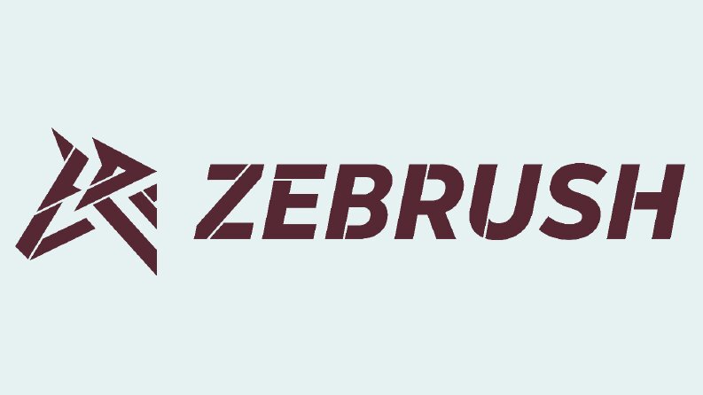 Zebrush — Konsept Spor Ayakkabı Markası