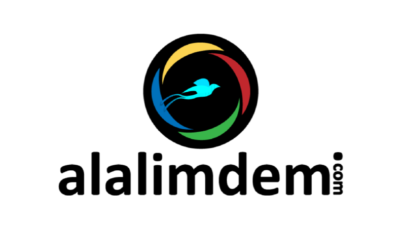 alalimdemi e-ticaret sitesi için logo tasarımı