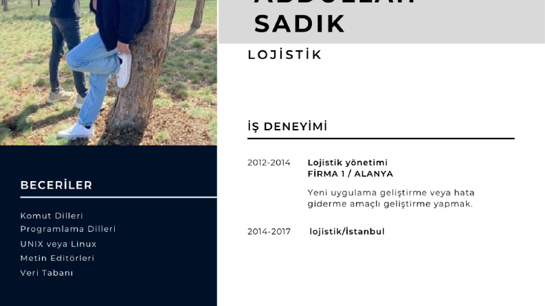 Profesyonel ve Özgün CV Hazırlama Hizmeti (Word & PDF)