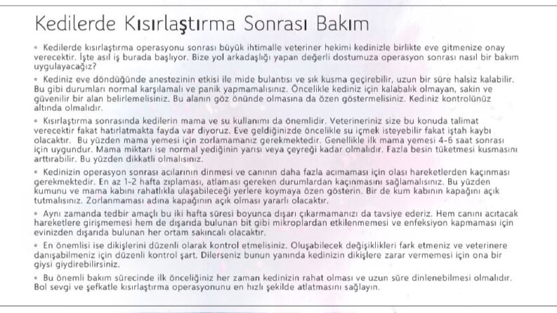 web sitesi blog yazıları