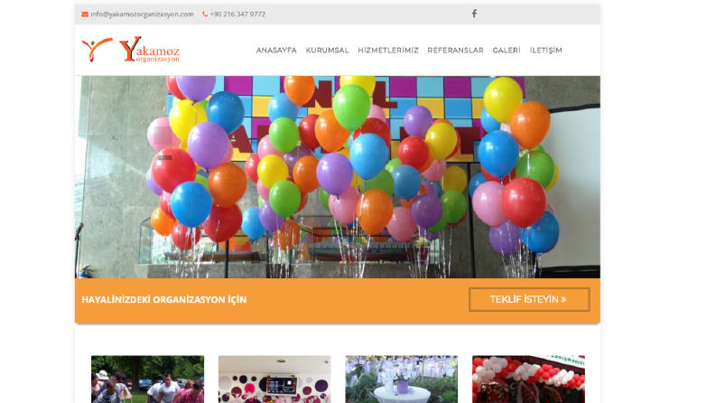 Wordpress Örnekleri - 3