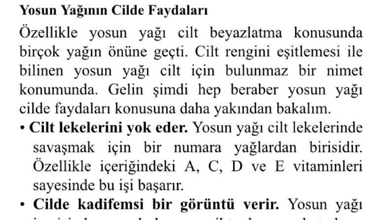 SEO Uyumlu Web Sitesi İçeriği