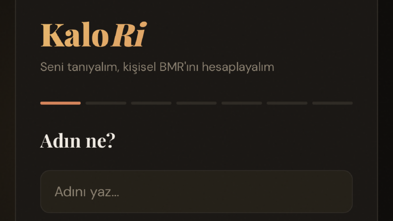 KaloRi BMR Hesaplama Uygulaması Arayüzü