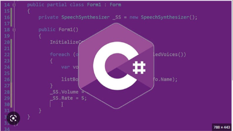 c# projelerinizi yapabilirim 