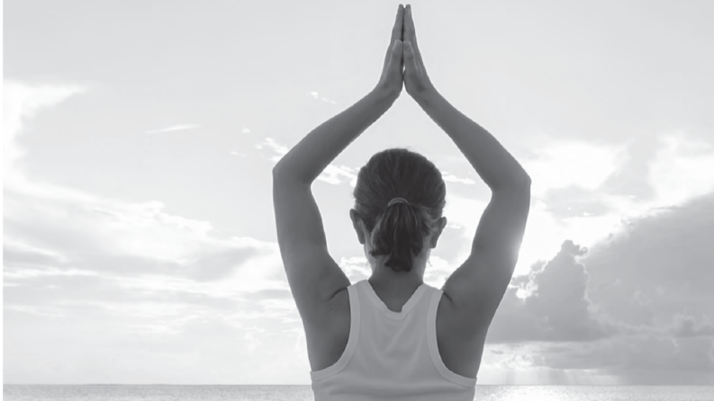 ANDULIFE MAXIMAL FIYAT LİSTESİ
