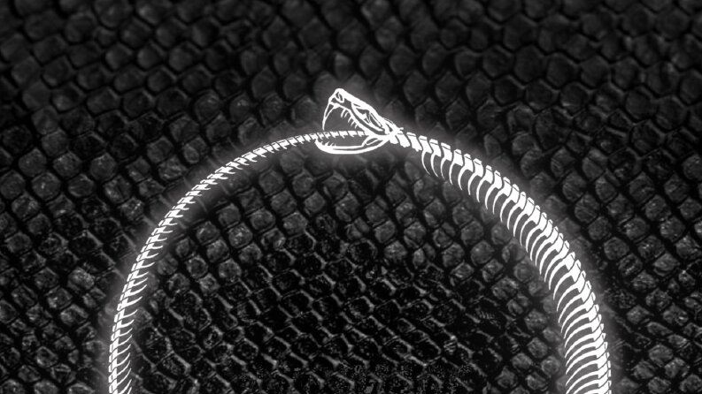 Yılan İskeletiyle Ouroboros Logo