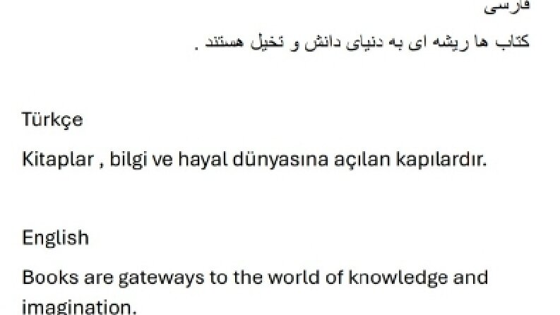 3 Dilde Profesyonel Çeviri (İngilizce – Türkçe – Farsça)