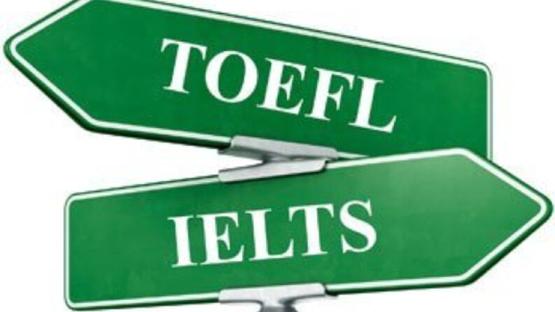 PROFESYONEL ÇEVİRİ