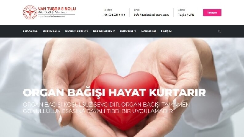 Profesyonel Web site tasarımı 